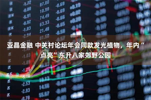 亚晶金融 中关村论坛年会同款发光植物，年内“点亮”东升八家郊野公园